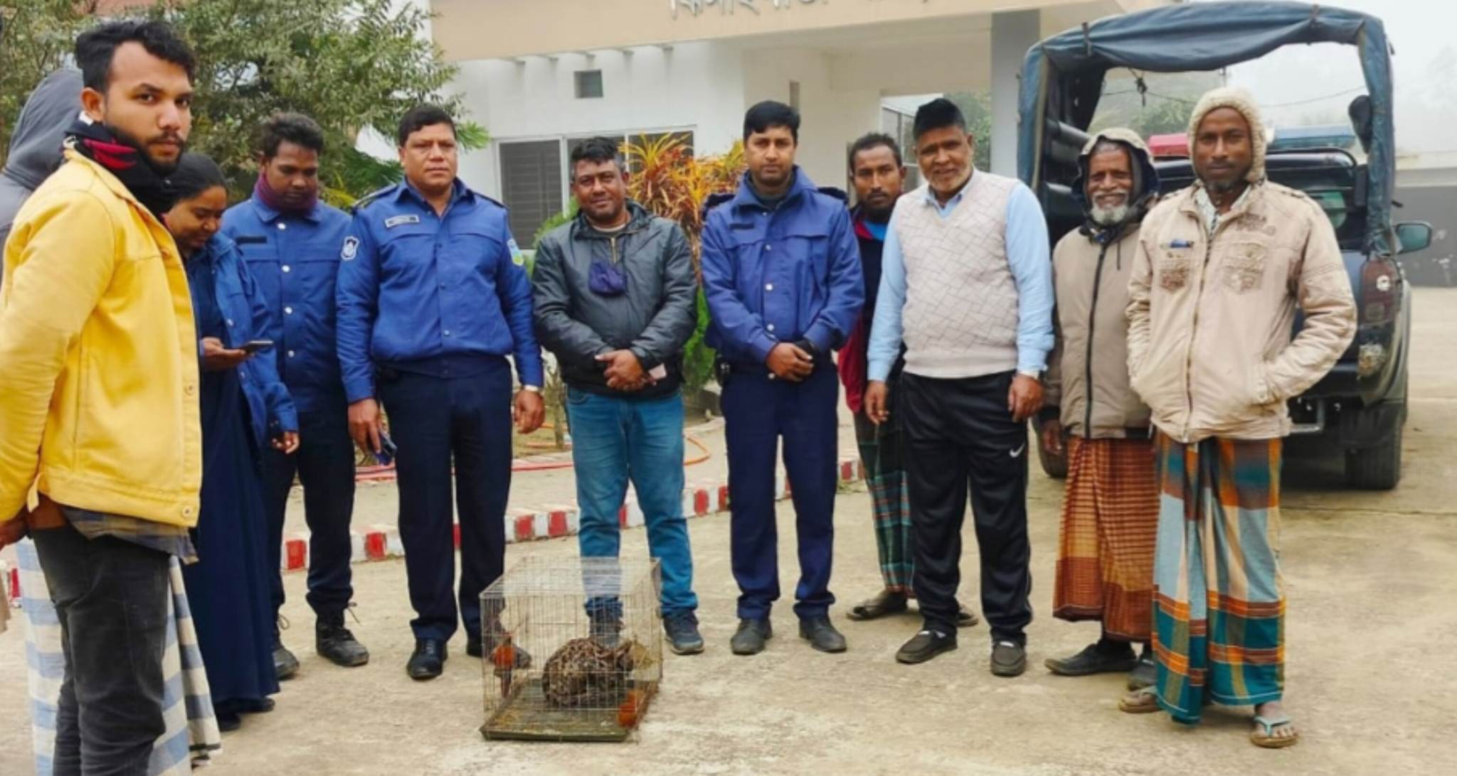 শেরপুরের ঝিনাইগাতীতে বিলুপ্ত প্রজাতির মেছো বাঘ উদ্ধার