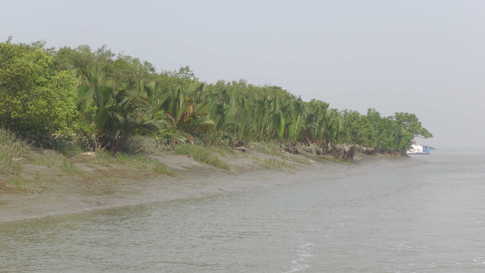 সুন্দরবনে জেলেদের হামলায় বনকর্মকর্তাসহ আহত ৭