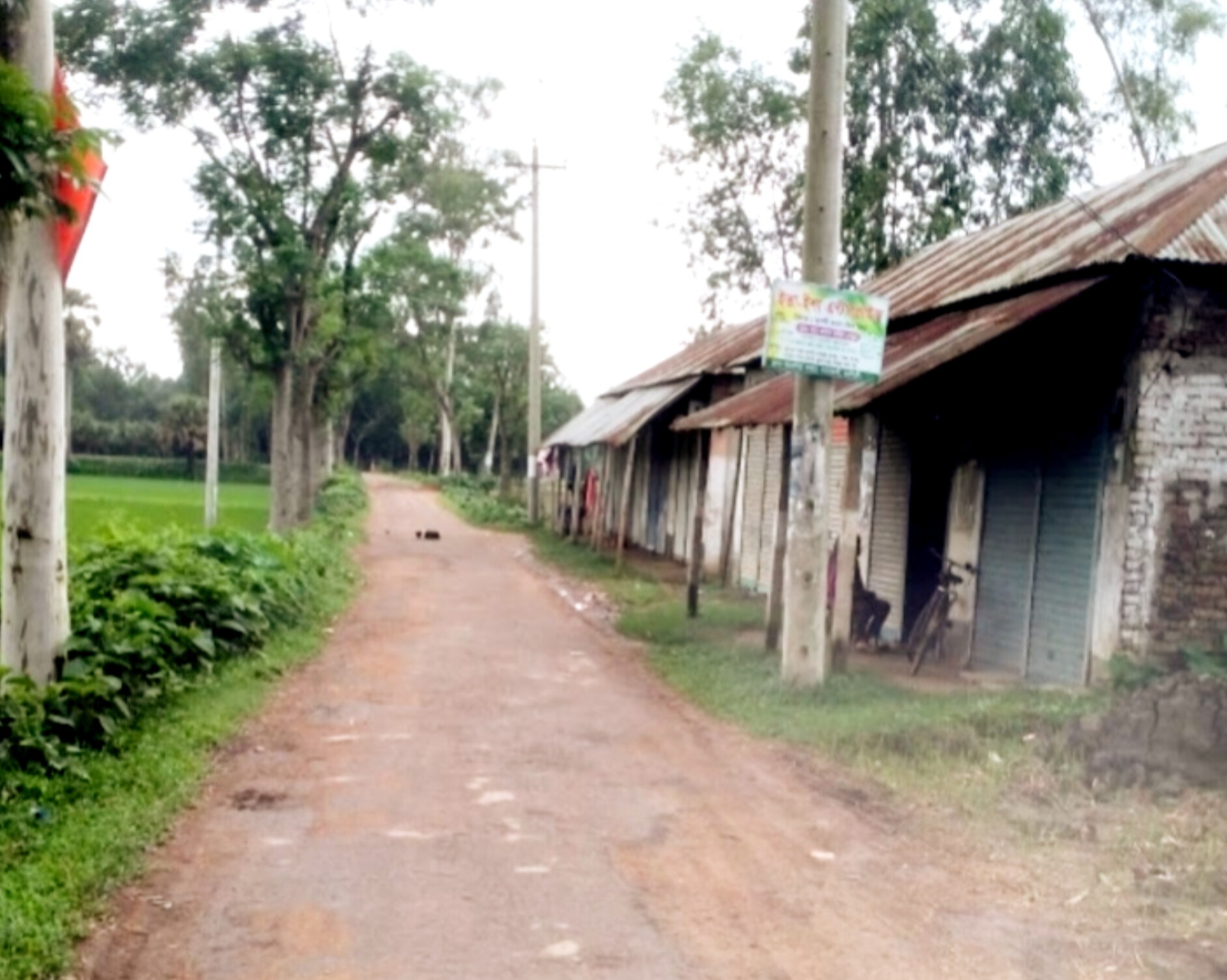 বৈদ্যুতিক খুঁটির কারণে সড়ক সংস্কার বন্ধ, ভোগান্তিতে হাজার হাজার মানুষ