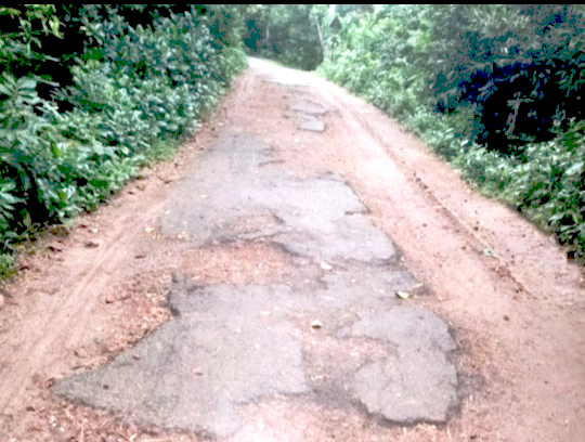 দুঃখ ঘুচলোনা অর্ধ লক্ষাধিক মানুষের, চরম দুর্ভোগে কাটছে দিন