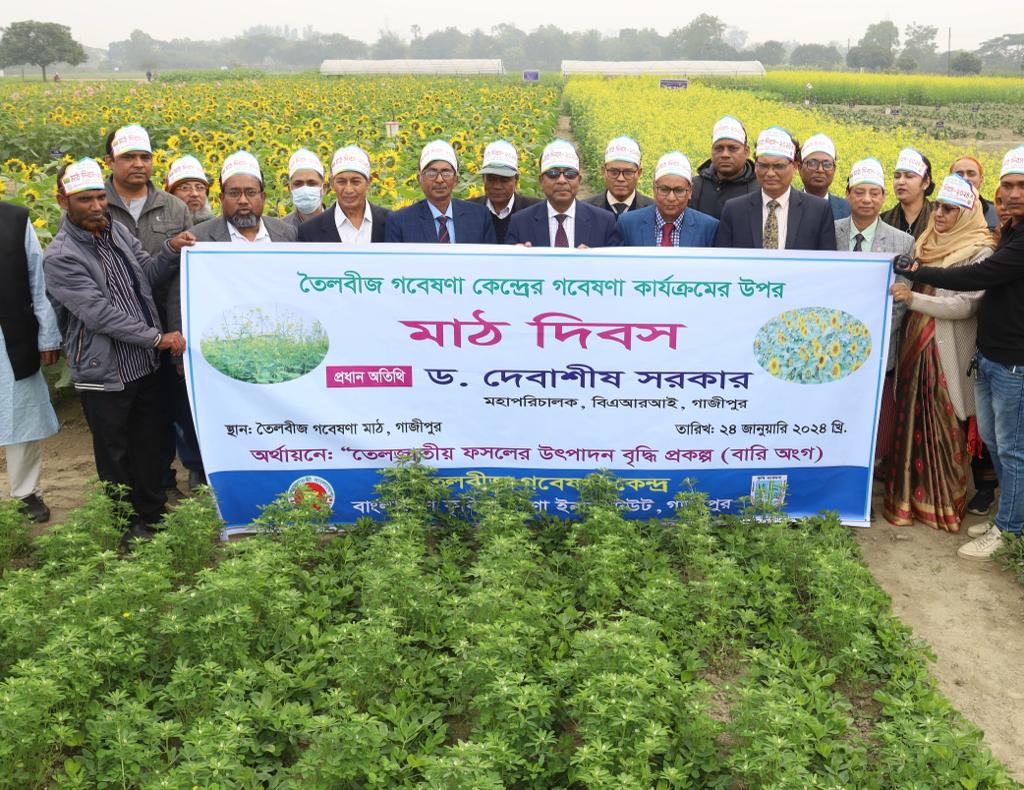 বারি’তে তৈলবীজ গবেষণা কার্যক্রম এর উপর মাঠ দিবস অনুষ্ঠিত