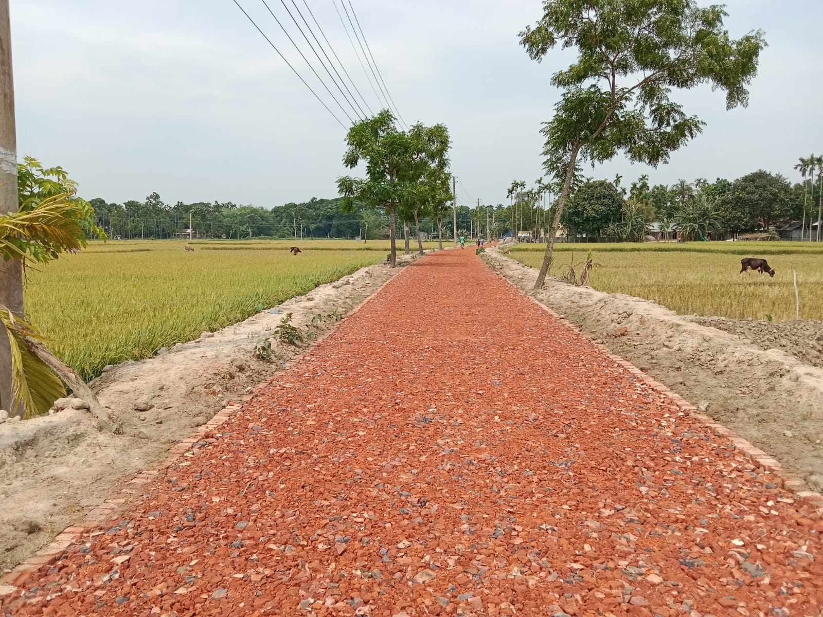 তারাকান্দায় এলজিইডির বাস্তবায়নে চলছে উন্নয়নের মহাযাত্রা