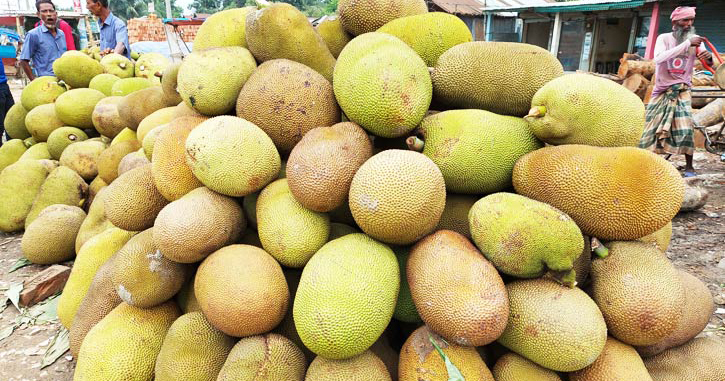 বেলাবোতে কদর নেই কাঁঠালের, হাহাকার কৃষকদের