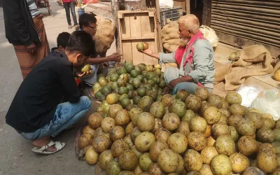 নরসিংদীতে বেড়েছে বেলের দাম