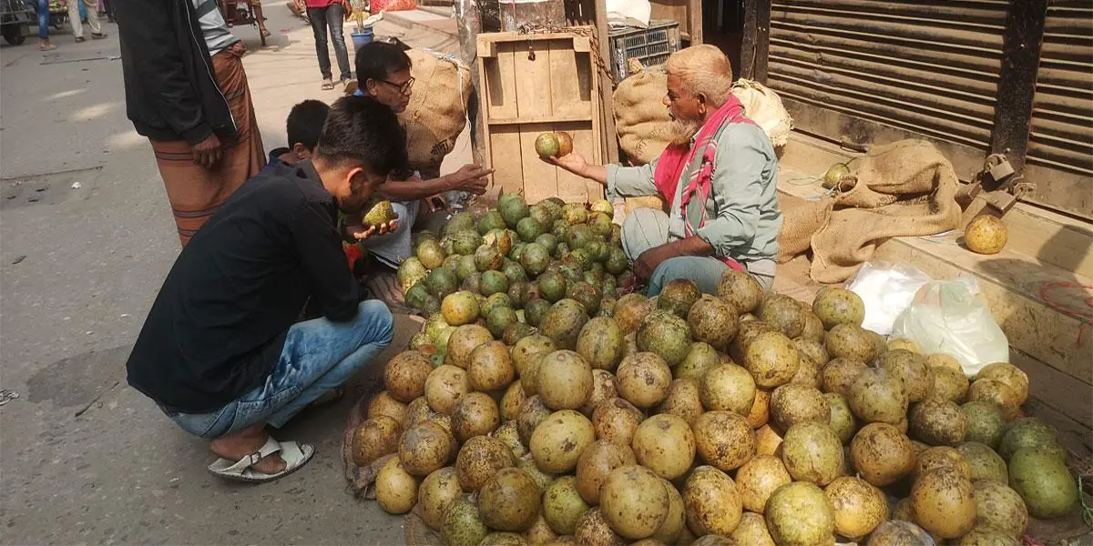 নরসিংদীতে বেড়েছে বেলের দাম