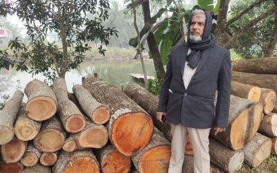 শরীয়তপুরে গাছ চুরির মামলা করায় বাদীকে প্রাণনাশের হুমকির অভিযোগ