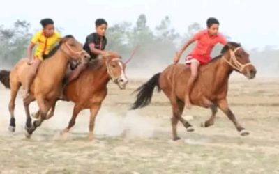 মনোহরদীতে ঘোড়া দৌড় প্রতিযোগিতা অনুষ্ঠিত