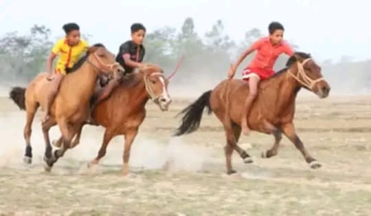 মনোহরদীতে ঘোড়া দৌড় প্রতিযোগিতা অনুষ্ঠিত