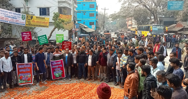 বর্ধিত ভ্যাট-শুল্ক প্রত্যাহারের দাবিতে নাটোরে মহাসড়কে টমেটো ফেলে সড়ক অবরোধ বিক্ষোভ ও মানববন্ধন