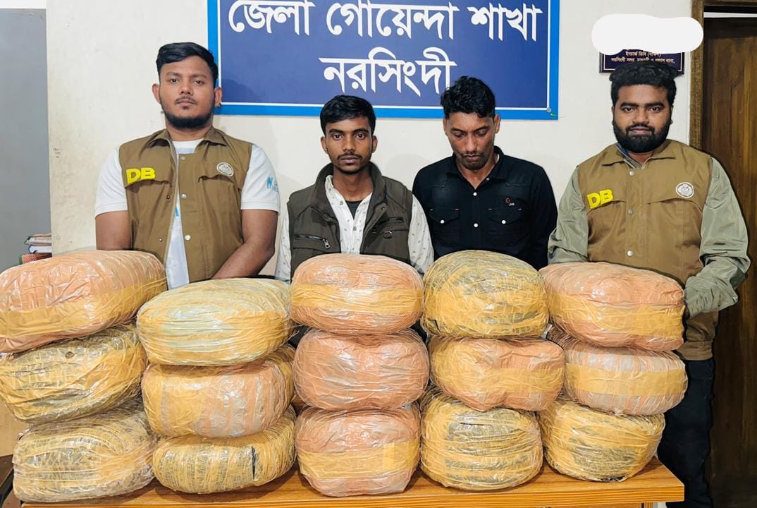 রায়পুরায় ৩০ কেজি গাঁজাসহ ২ মাদক কারবারি গ্রেফতার