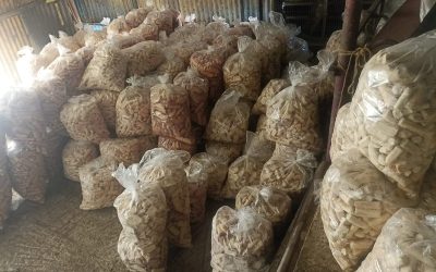 নরসিংদীতে র‍্যাব-১১ ও ভোক্তা অধিদপ্তরের যৌথ অভিযানে ৫০ হাজার টাকা জরিমানা