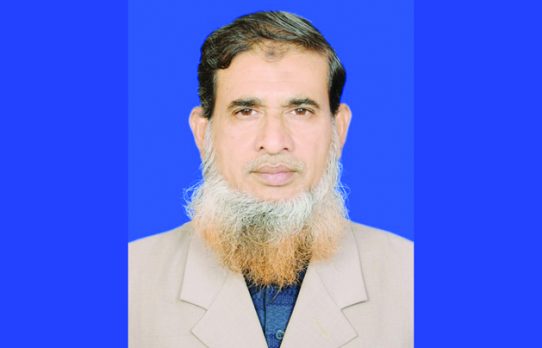 জুলাই সনদ বাস্তবায়নের গণভোট