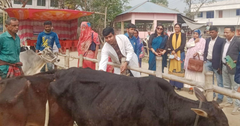 মাগুরার শালিখায় ৪শত গবাদি পশুর ক্ষুরা রোগের টিকা প্রদান কর্মসূচী উদ্বোধন